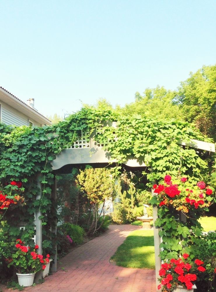 Mcdougall Lane Bed & Breakfast Drumheller Dış mekan fotoğraf